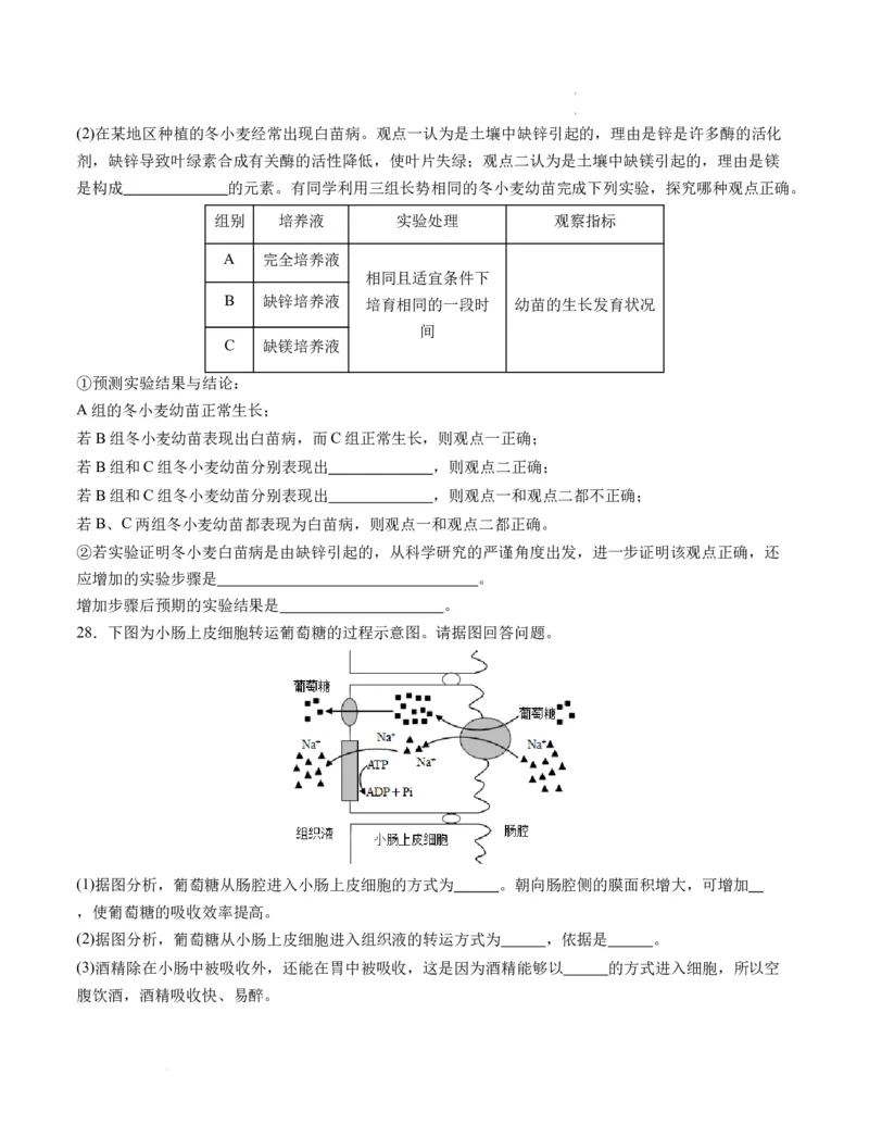 期末模拟卷01（考试版A4版）测试范围：人教版2019必修1_E015高中全科试卷_生物试题_必修1_4.期末试卷_高一生物期末模拟卷01（人教版2019）2023-2024学年高中生物上学期期末模拟考试