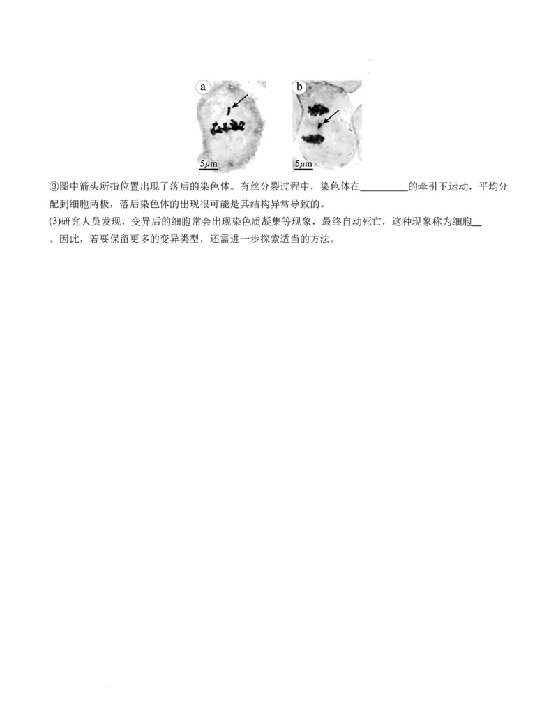 期末模拟卷01（考试版A4版）测试范围：人教版2019必修1_E015高中全科试卷_生物试题_必修1_4.期末试卷_高一生物期末模拟卷01（人教版2019）2023-2024学年高中生物上学期期末模拟考试