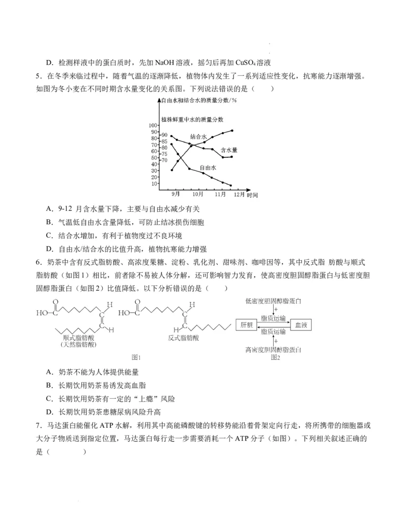 期末模拟卷01（考试版A4版）测试范围：人教版2019必修1_E015高中全科试卷_生物试题_必修1_4.期末试卷_高一生物期末模拟卷01（人教版2019）2023-2024学年高中生物上学期期末模拟考试