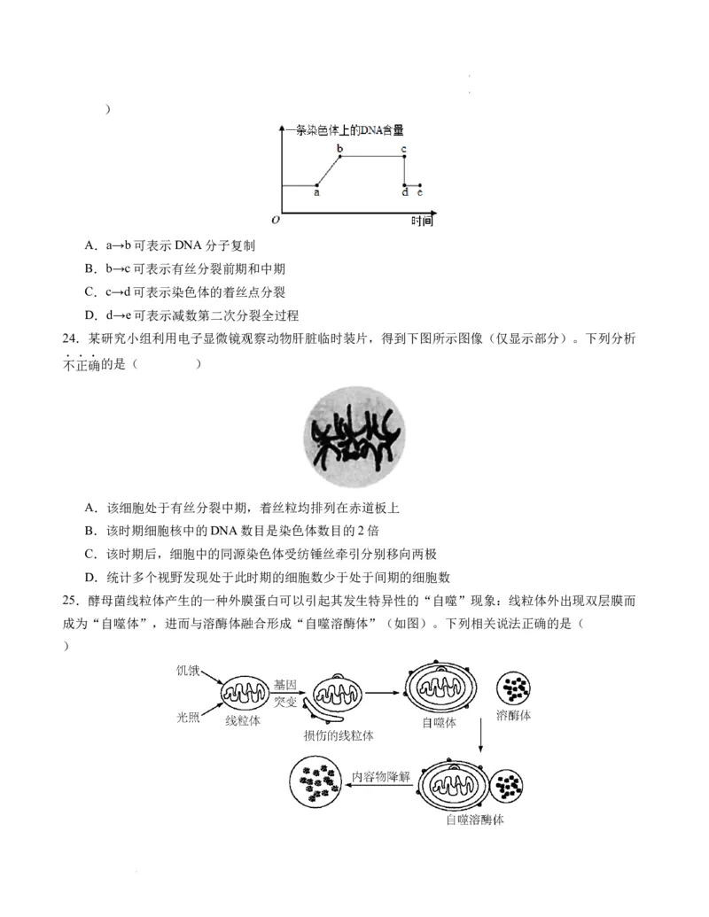 期末模拟卷01（考试版A4版）测试范围：人教版2019必修1_E015高中全科试卷_生物试题_必修1_4.期末试卷_高一生物期末模拟卷01（人教版2019）2023-2024学年高中生物上学期期末模拟考试