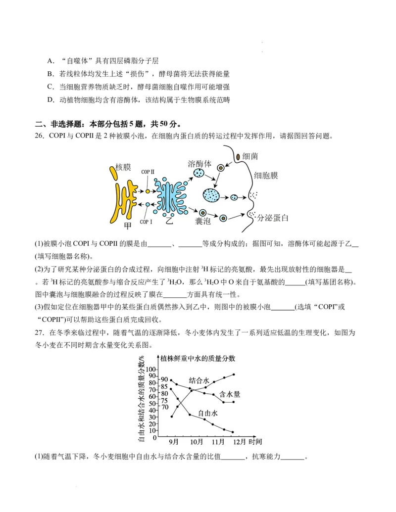 期末模拟卷01（考试版A4版）测试范围：人教版2019必修1_E015高中全科试卷_生物试题_必修1_4.期末试卷_高一生物期末模拟卷01（人教版2019）2023-2024学年高中生物上学期期末模拟考试