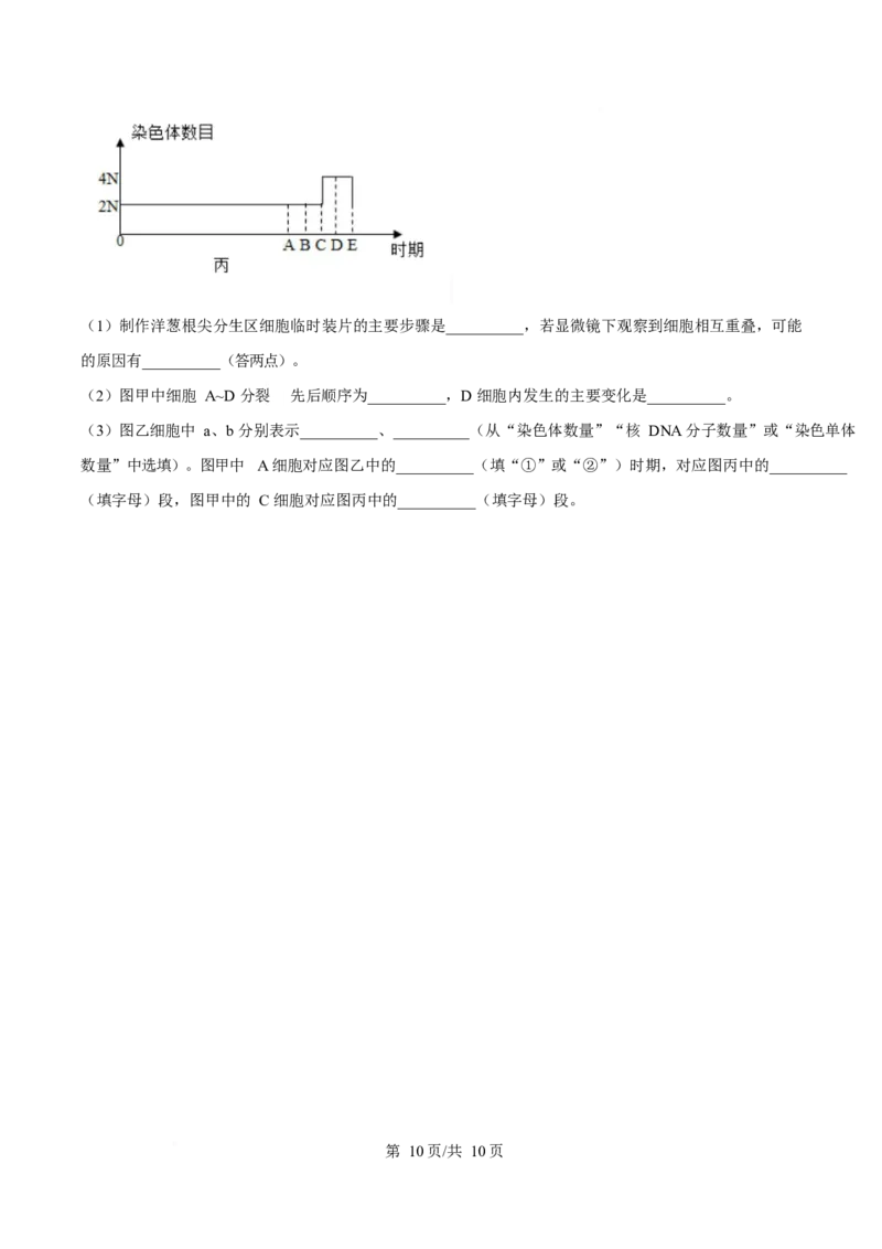 黑龙江省齐齐哈尔市部分学校2025-2026学年高一上学期1月期末生物试卷（含答案）_2024-2025高一（7-7月题库）_2026年1月高一