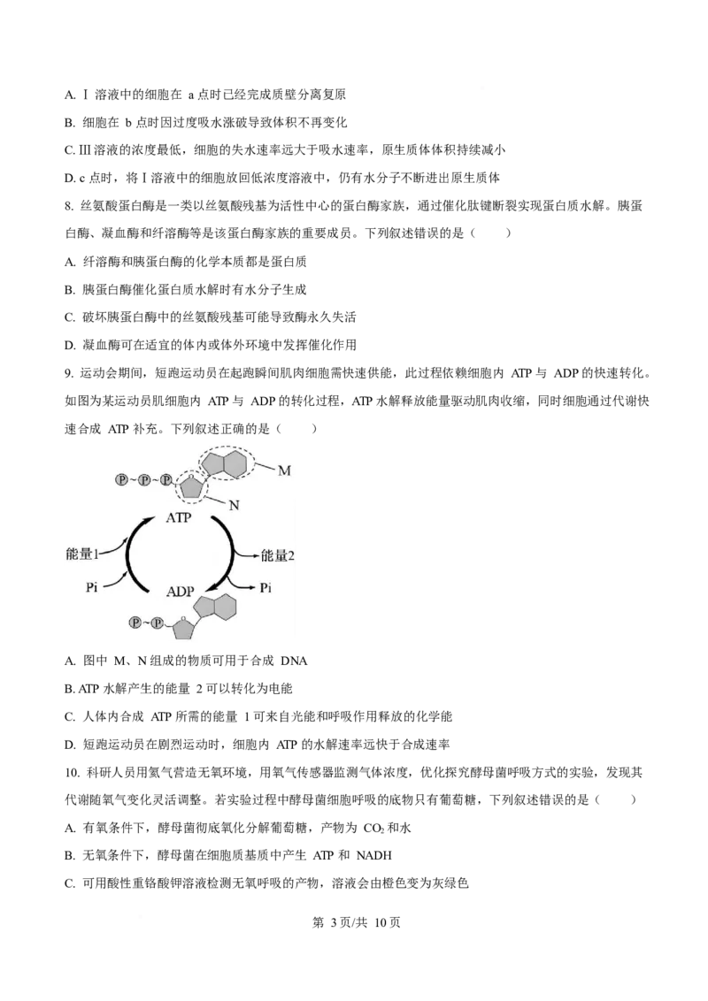 黑龙江省齐齐哈尔市部分学校2025-2026学年高一上学期1月期末生物试卷（含答案）_2024-2025高一（7-7月题库）_2026年1月高一