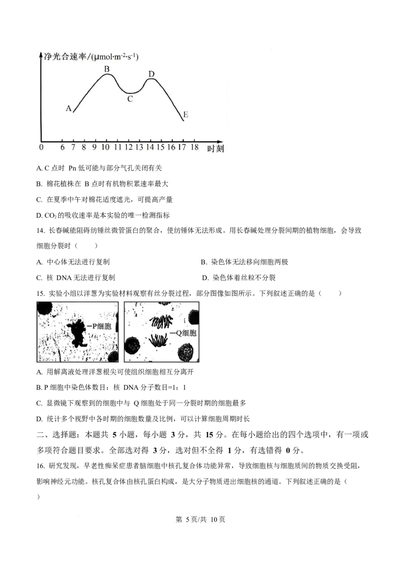 黑龙江省齐齐哈尔市部分学校2025-2026学年高一上学期1月期末生物试卷（含答案）_2024-2025高一（7-7月题库）_2026年1月高一