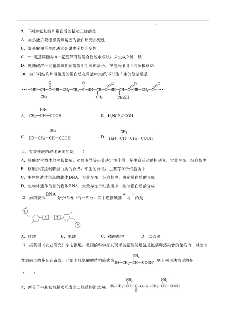 第04单元生物大分子（B卷&bull;提升能力）-2021-2022学年高二化学同步单元AB卷（人教版2019选择性必修3）（原卷版）_E015高中全科试卷_化学试题_选修3_5.新版人教版高中化学试卷选择性必修3