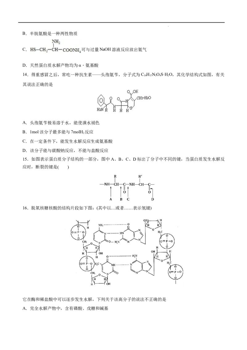 第04单元生物大分子（B卷&bull;提升能力）-2021-2022学年高二化学同步单元AB卷（人教版2019选择性必修3）（原卷版）_E015高中全科试卷_化学试题_选修3_5.新版人教版高中化学试卷选择性必修3