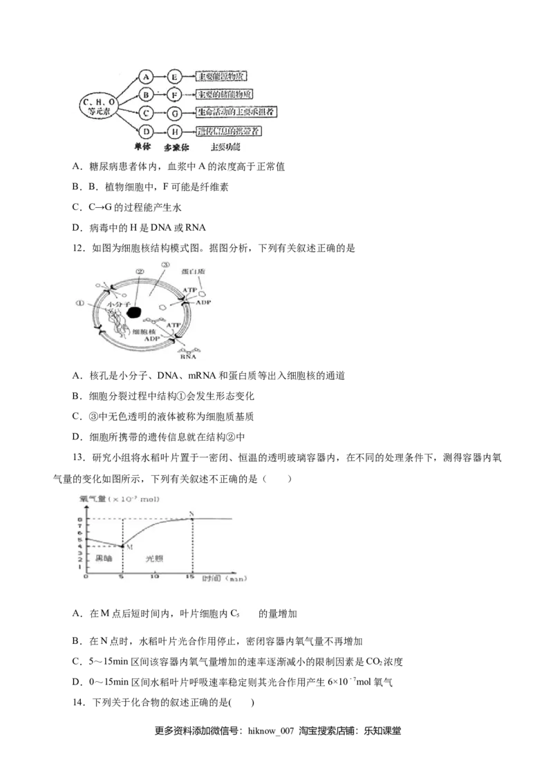 人教版必修1期末（A卷基础过关检测）-高考生物一轮复习单元滚动双测卷（新高考地区专用）（原卷版）_E015高中全科试卷_生物试题_必修1_1.单元测试_3.单元测试（第三套）