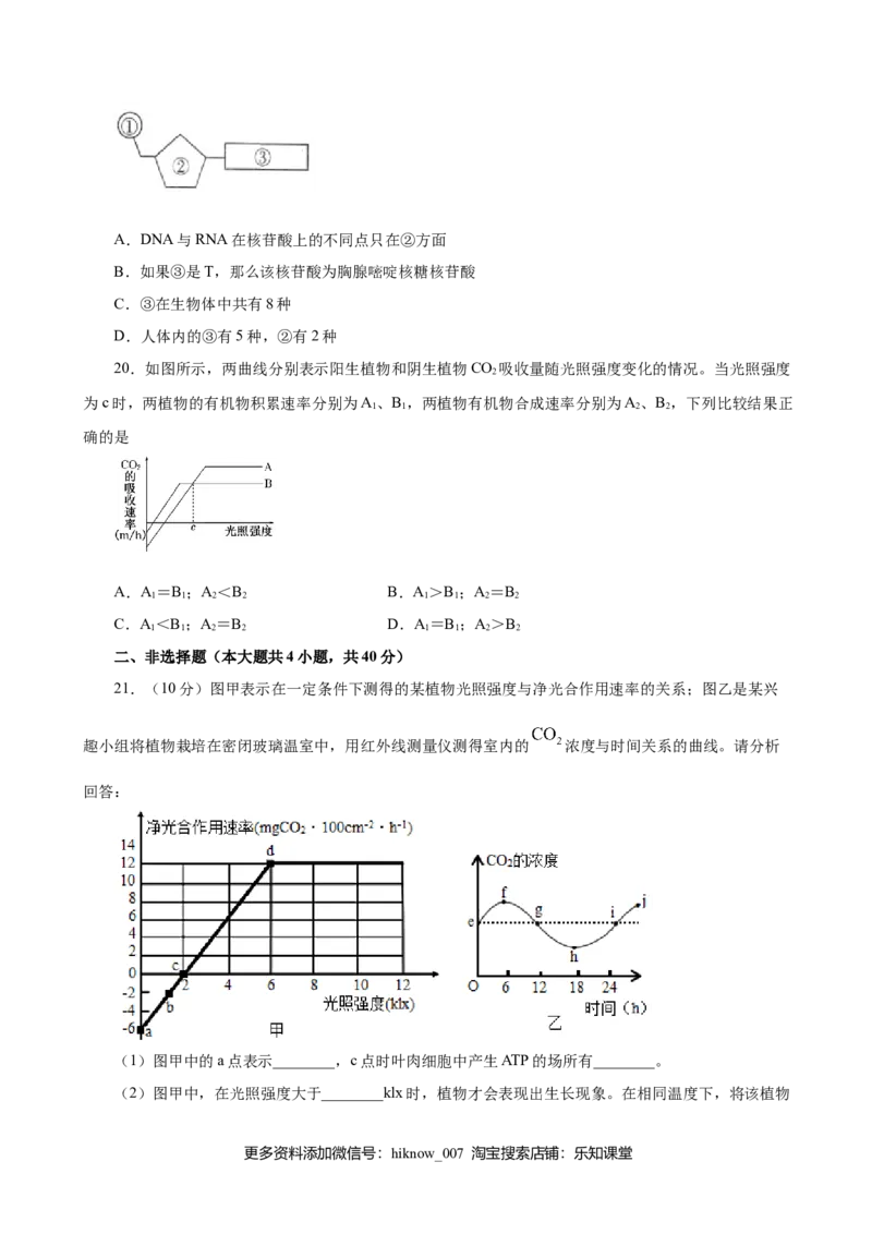 人教版必修1期末（A卷基础过关检测）-高考生物一轮复习单元滚动双测卷（新高考地区专用）（原卷版）_E015高中全科试卷_生物试题_必修1_1.单元测试_3.单元测试（第三套）