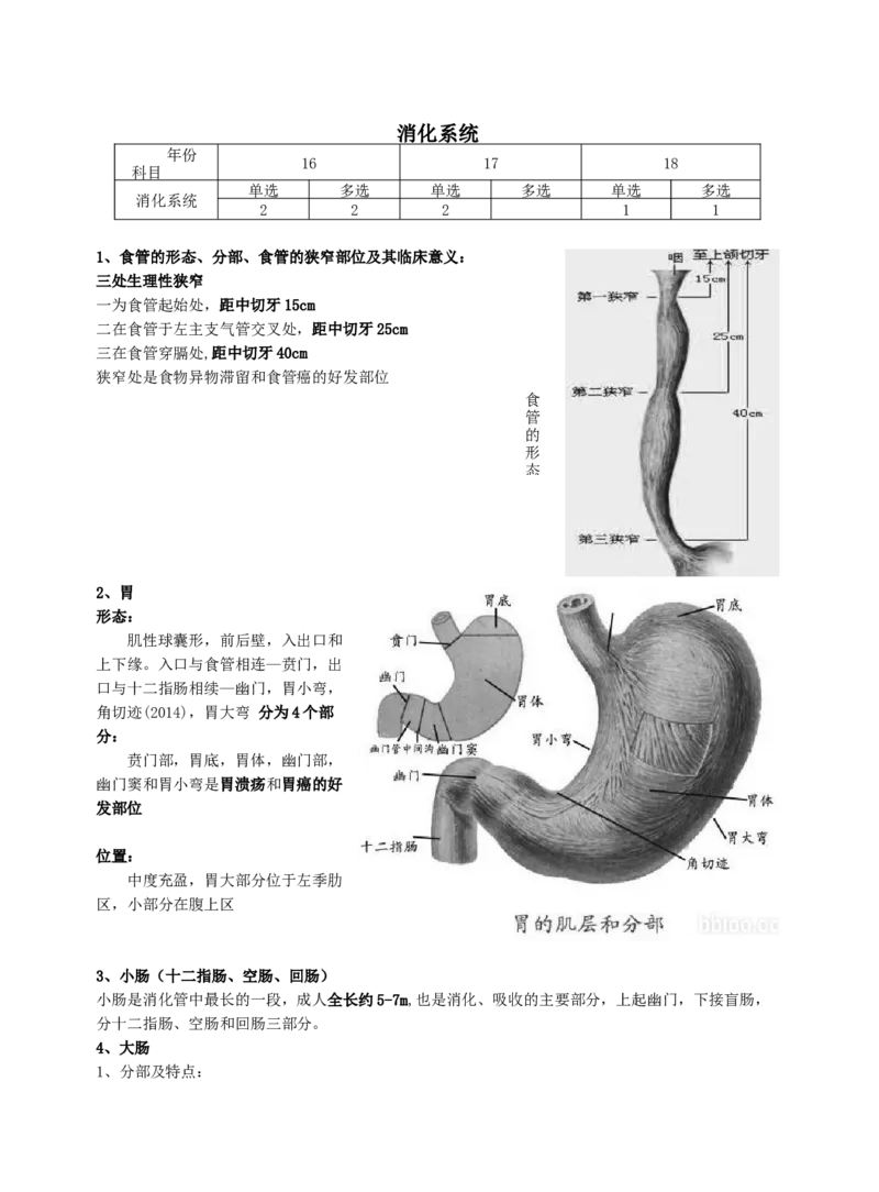 《专科起点本科》政治、英语、高等数学、医学综合、教育理论，全国成人高考复习教材(精简版)_成考本科-所有考试科目-近10年真题和答案+2026备考通关资料大全