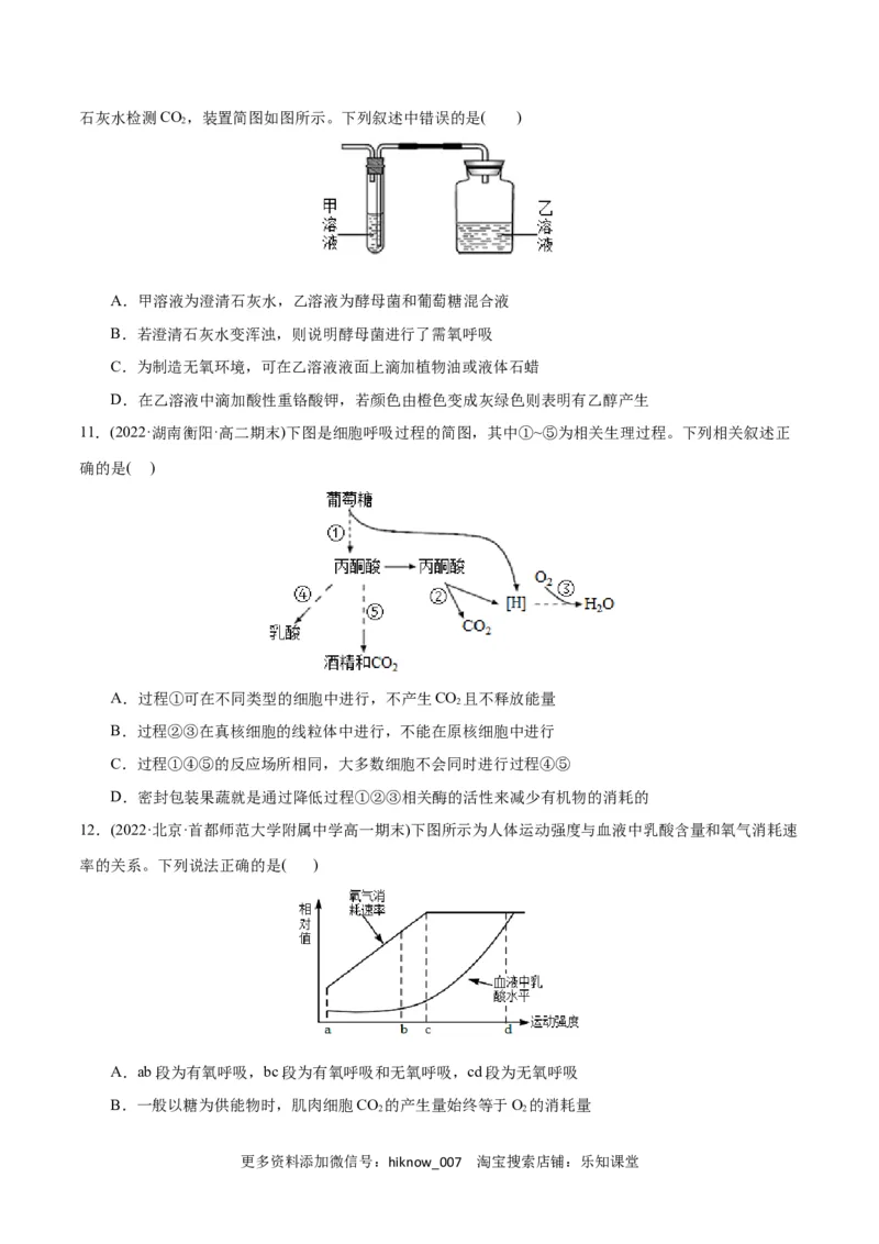 第5章细胞的能量供应和利用（B卷&middot;能力提升练）（原卷版）_E015高中全科试卷_生物试题_必修1_1.单元测试_1.单元测试AB卷（第一套）