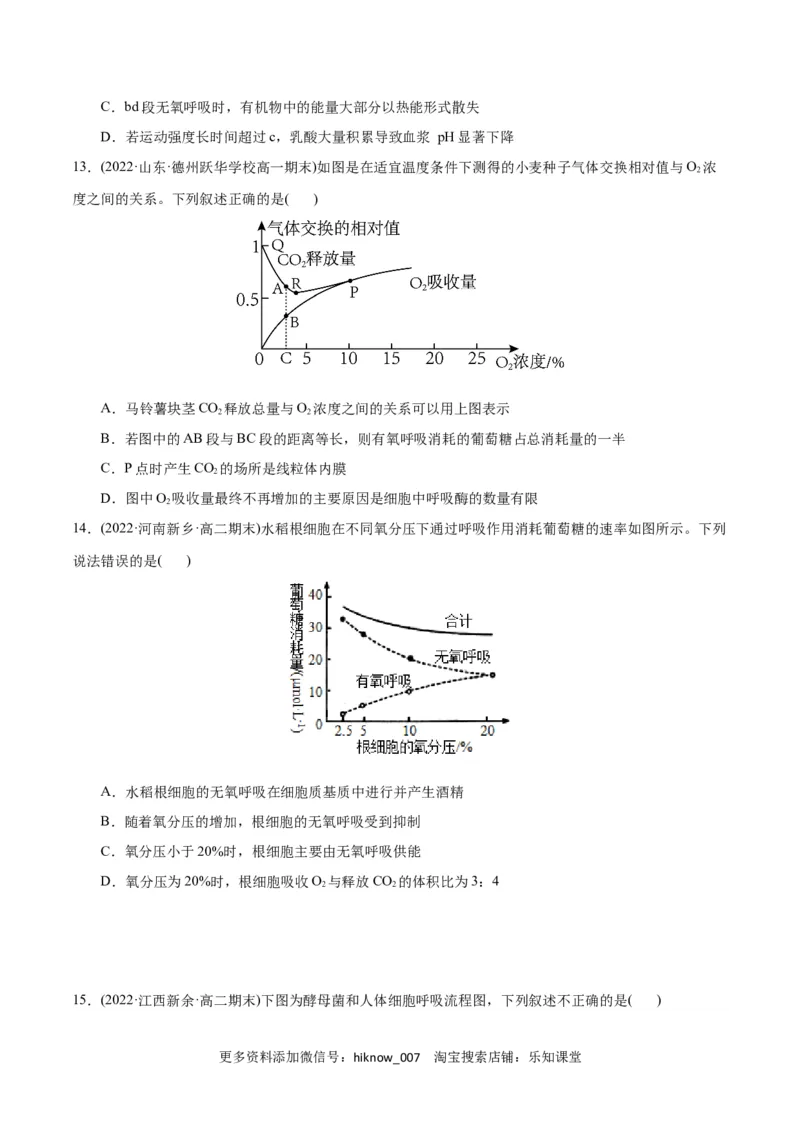 第5章细胞的能量供应和利用（B卷&middot;能力提升练）（原卷版）_E015高中全科试卷_生物试题_必修1_1.单元测试_1.单元测试AB卷（第一套）