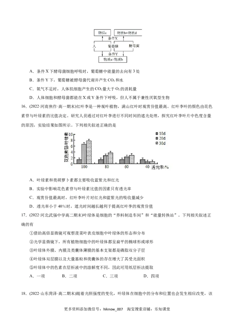 第5章细胞的能量供应和利用（B卷&middot;能力提升练）（原卷版）_E015高中全科试卷_生物试题_必修1_1.单元测试_1.单元测试AB卷（第一套）