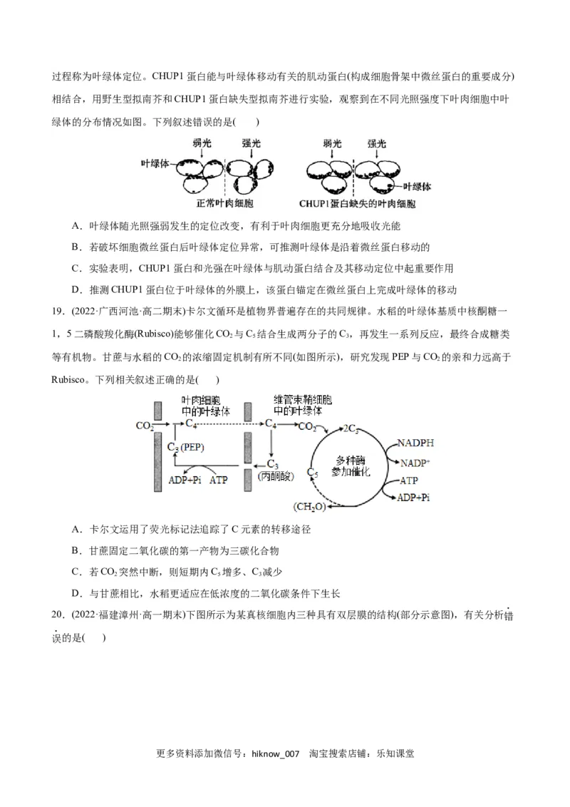 第5章细胞的能量供应和利用（B卷&middot;能力提升练）（原卷版）_E015高中全科试卷_生物试题_必修1_1.单元测试_1.单元测试AB卷（第一套）