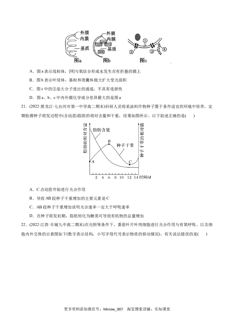 第5章细胞的能量供应和利用（B卷&middot;能力提升练）（原卷版）_E015高中全科试卷_生物试题_必修1_1.单元测试_1.单元测试AB卷（第一套）