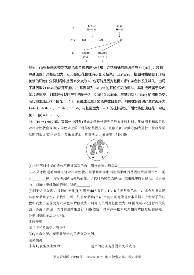 第5章《本章综合与测试》测评_E015高中全科试卷_生物试题_必修2_1.单元测试_1、单元测试_第5章基因突变及其他变异