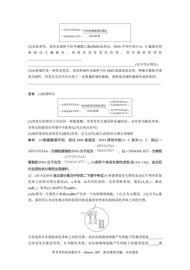 第5章《本章综合与测试》测评_E015高中全科试卷_生物试题_必修2_1.单元测试_1、单元测试_第5章基因突变及其他变异