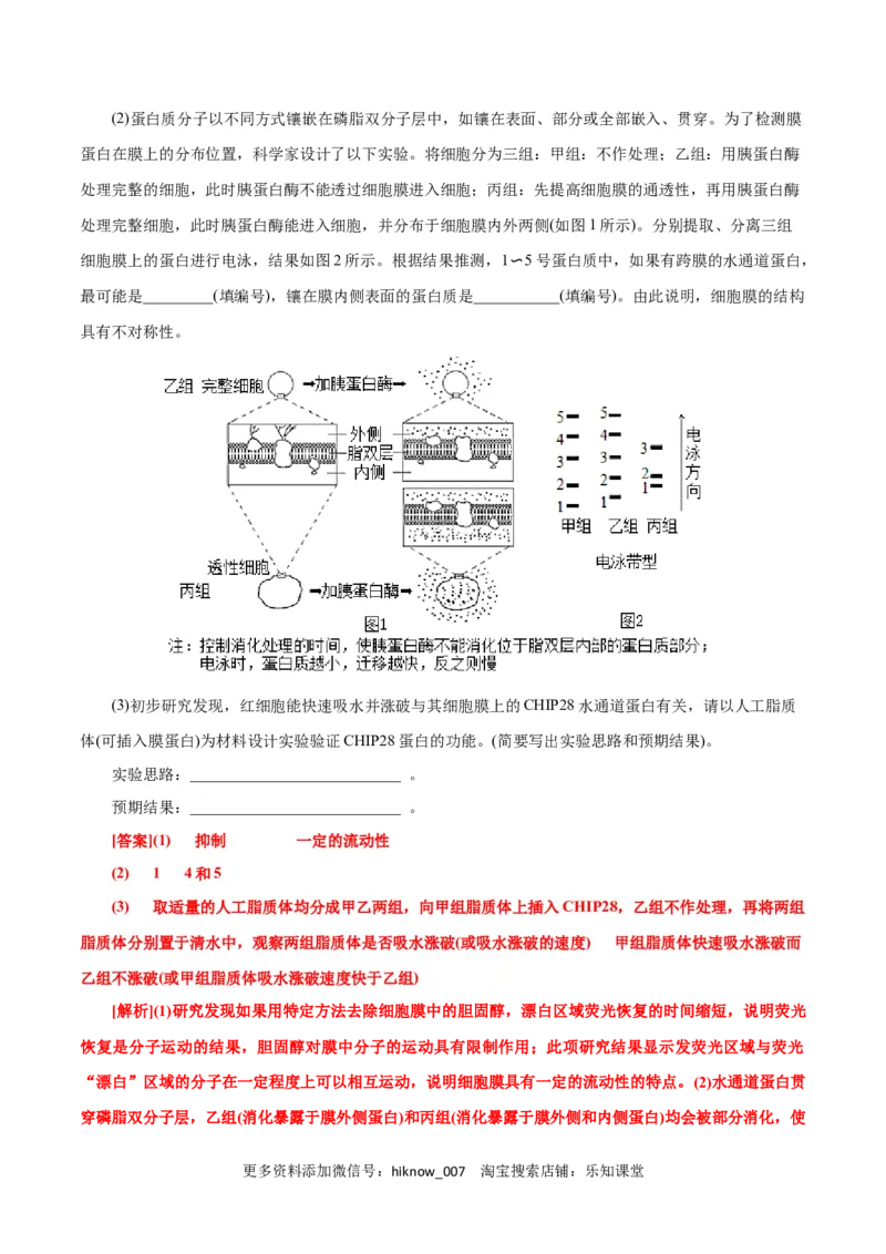 第4章细胞的物质输入和输出（B卷&middot;能力提升练）（解析版）_E015高中全科试卷_生物试题_必修1_1.单元测试_1.单元测试AB卷（第一套）