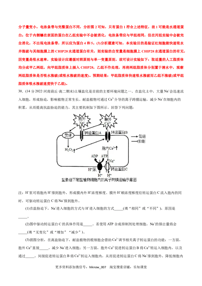 第4章细胞的物质输入和输出（B卷&middot;能力提升练）（解析版）_E015高中全科试卷_生物试题_必修1_1.单元测试_1.单元测试AB卷（第一套）