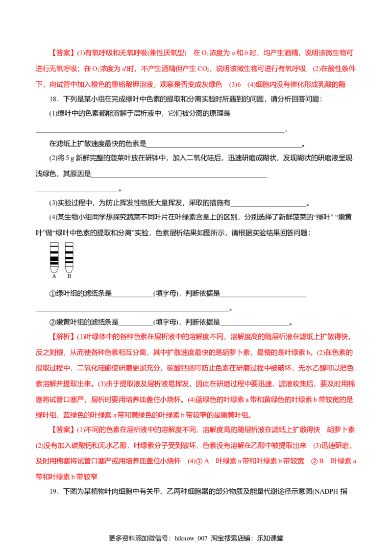第5章细胞的能量供应和利用B卷（解析版）_E015高中全科试卷_生物试题_必修1_1.单元测试_3.单元测试（第三套）_第5章细胞的能量供应和利用B卷-高一生物学同步单元AB卷（2019人教版必修1）