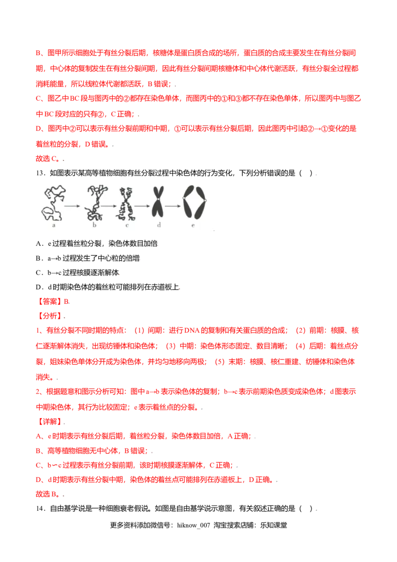 第六章章末测试-高一生物课后培优练（人教版2019必修1）（解析版）_E015高中全科试卷_生物试题_必修1_1.单元测试_2.单元测试（第二套）