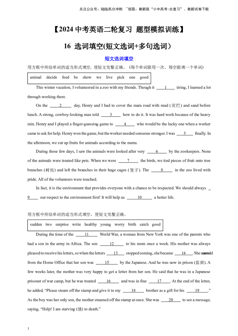 2024中考英语二轮复习题型模拟训练16选词填空(短文选词+多句选词）（原卷版）_02中考总复习（2026版更新中）_03-英语-中考总复习_2024年中考复习资料_二轮复习