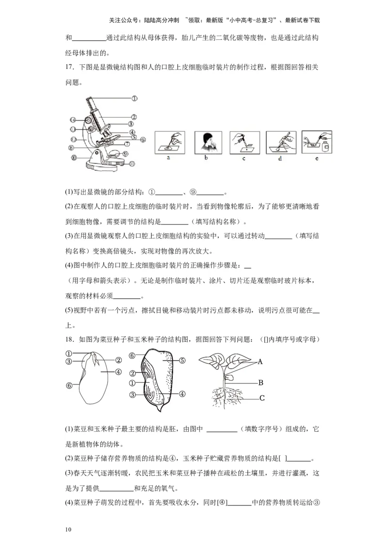 2024年中考生物专题复习：综合题（含答案）_02中考总复习（2026版更新中）_08-生物-中考总复习_2024年中考复习资料_二轮复习_备考2024中考生物二轮复习题型突破专练