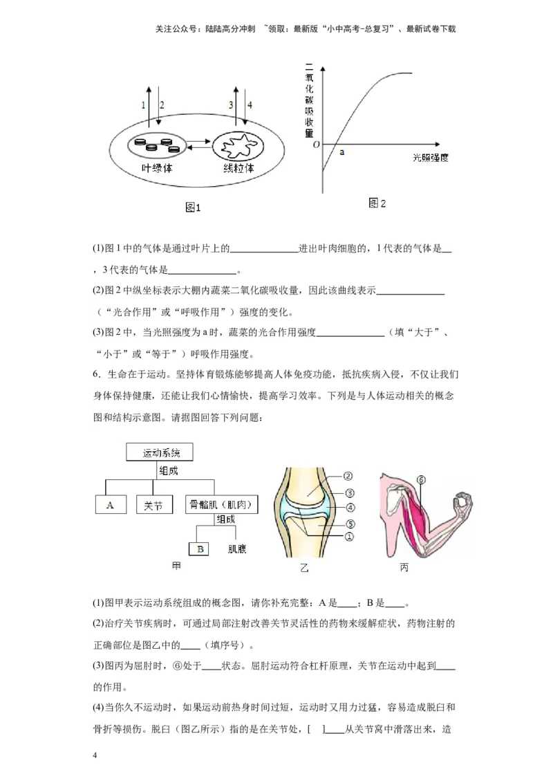 2024年中考生物专题复习：综合题（含答案）_02中考总复习（2026版更新中）_08-生物-中考总复习_2024年中考复习资料_二轮复习_备考2024中考生物二轮复习题型突破专练