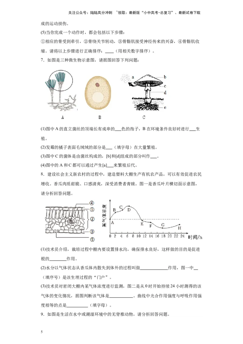 2024年中考生物专题复习：综合题（含答案）_02中考总复习（2026版更新中）_08-生物-中考总复习_2024年中考复习资料_二轮复习_备考2024中考生物二轮复习题型突破专练
