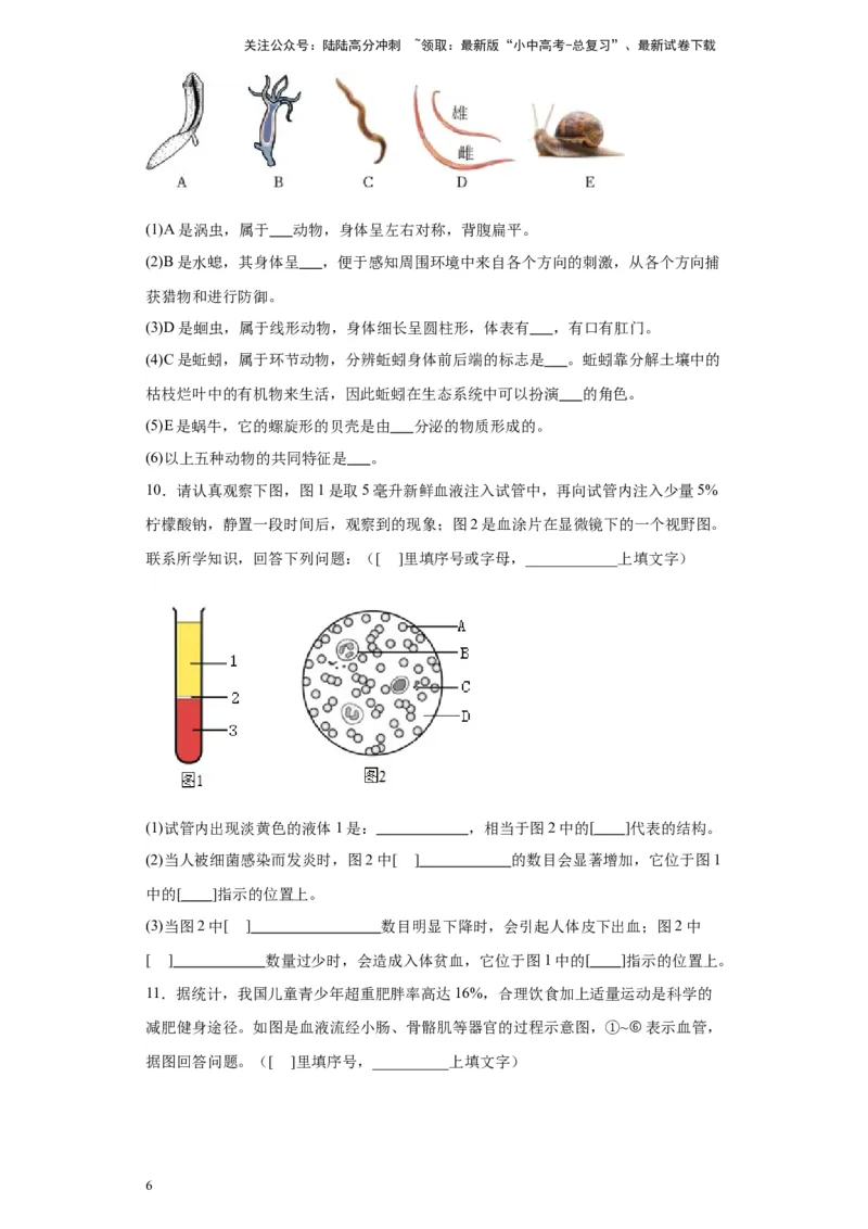 2024年中考生物专题复习：综合题（含答案）_02中考总复习（2026版更新中）_08-生物-中考总复习_2024年中考复习资料_二轮复习_备考2024中考生物二轮复习题型突破专练