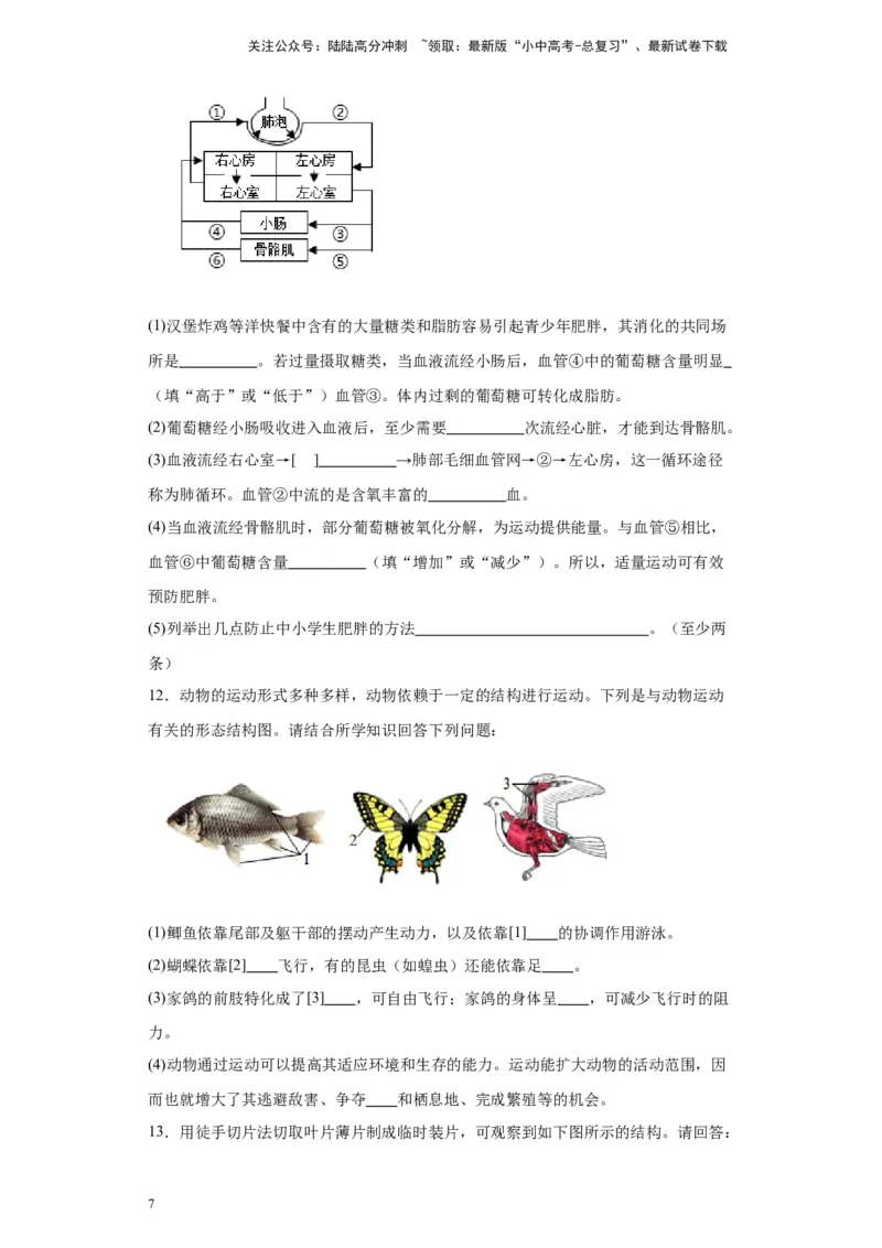 2024年中考生物专题复习：综合题（含答案）_02中考总复习（2026版更新中）_08-生物-中考总复习_2024年中考复习资料_二轮复习_备考2024中考生物二轮复习题型突破专练