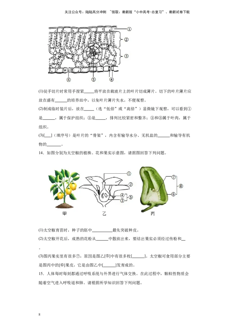 2024年中考生物专题复习：综合题（含答案）_02中考总复习（2026版更新中）_08-生物-中考总复习_2024年中考复习资料_二轮复习_备考2024中考生物二轮复习题型突破专练