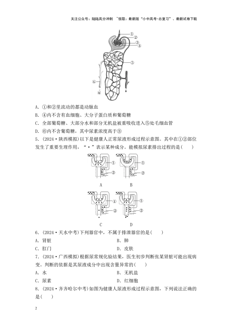 2025中考生物二轮专题训练12　人体内废物的排出（含解析）_02中考总复习（2026版更新中）_08-生物-中考总复习_2025中考复习资料_2025中考生物二轮专题训练（含解析）