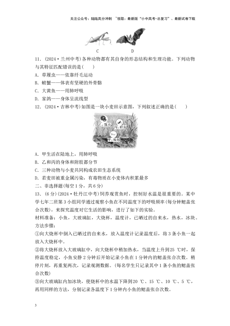 2025中考生物二轮专题训练16　动物的主要类群（含解析）_02中考总复习（2026版更新中）_08-生物-中考总复习_2025中考复习资料_2025中考生物二轮专题训练（含解析）