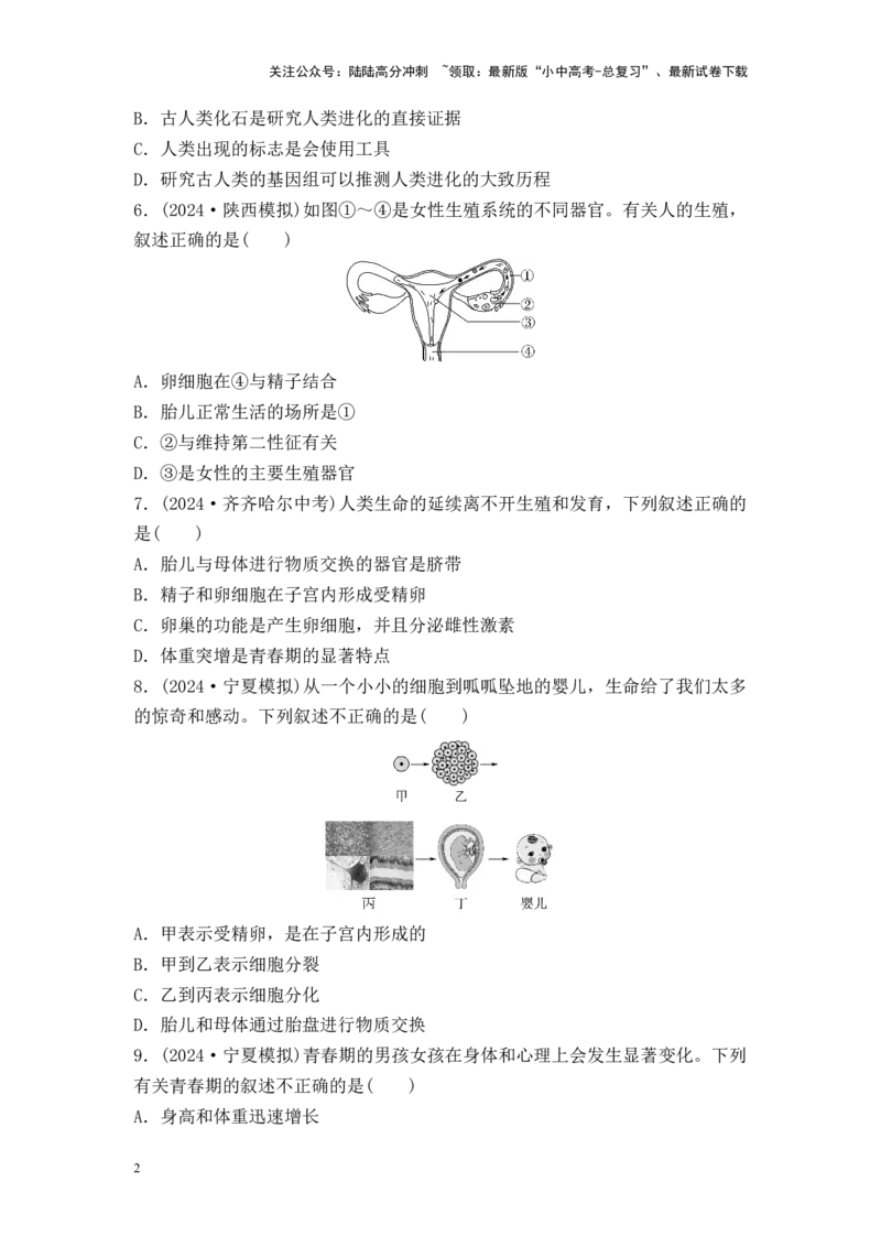 2025中考生物二轮专题训练8　人的由来（含解析）_02中考总复习（2026版更新中）_08-生物-中考总复习_2025中考复习资料_2025中考生物二轮专题训练（含解析）