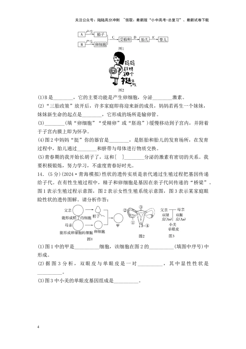 2025中考生物二轮专题训练8　人的由来（含解析）_02中考总复习（2026版更新中）_08-生物-中考总复习_2025中考复习资料_2025中考生物二轮专题训练（含解析）