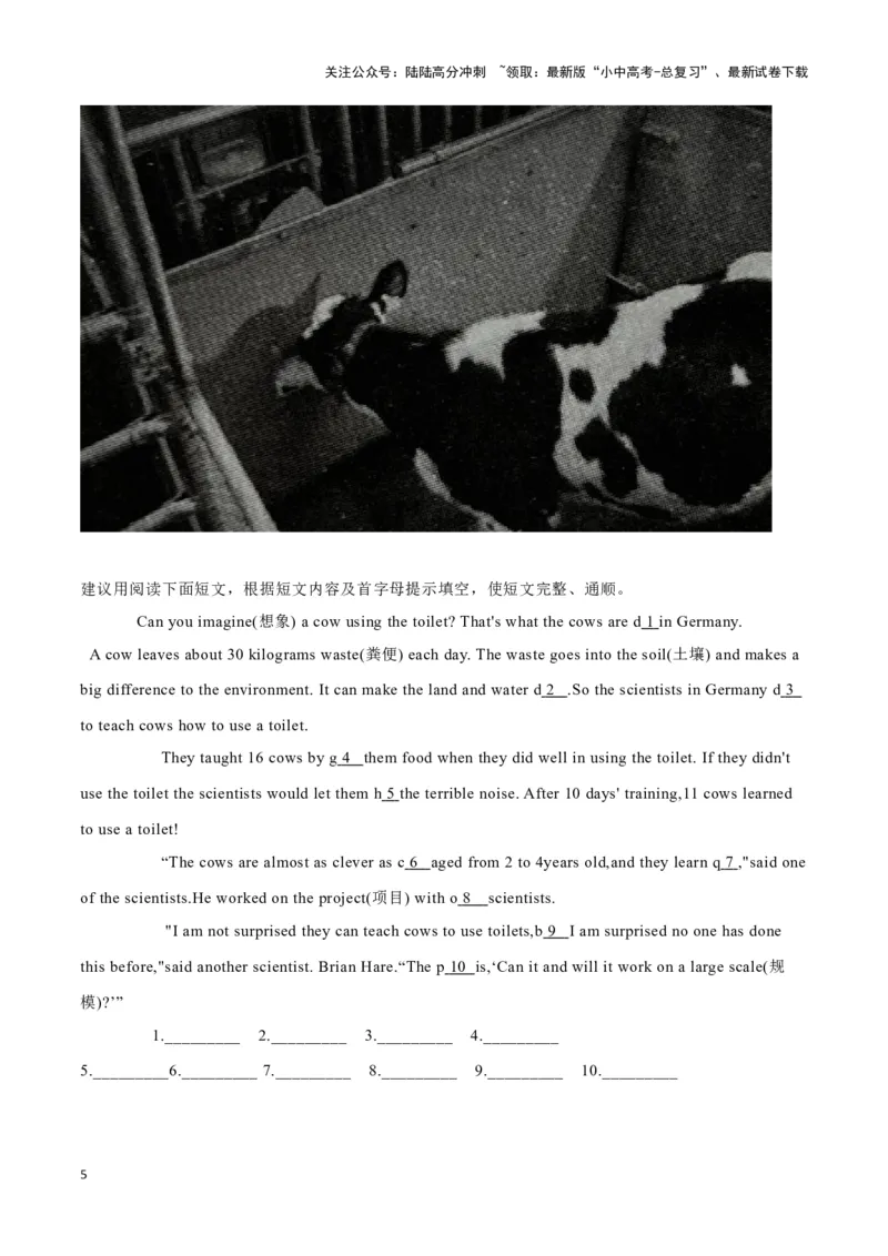 15&ldquo;失落的黄金城市&rdquo;重见天日、贵州&ldquo;村BA&rdquo;爆火出圈、奶牛学会上厕所（原卷版）_02中考总复习（2026版更新中）_03-英语-中考总复习_2024年中考复习资料_专项复习资料