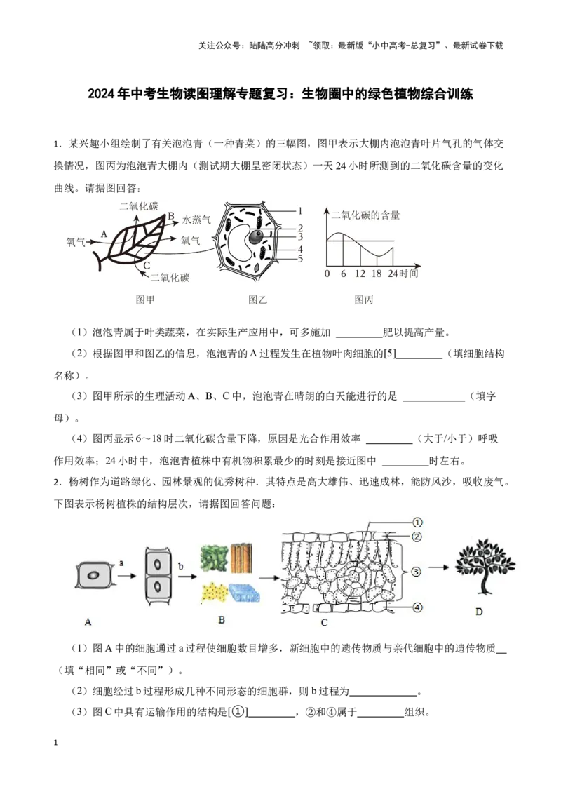 2024年中考生物读图理解专题复习：生物圈中的绿色植物综合训练（含答案）_02中考总复习（2026版更新中）_08-生物-中考总复习_2024年中考复习资料_二轮复习
