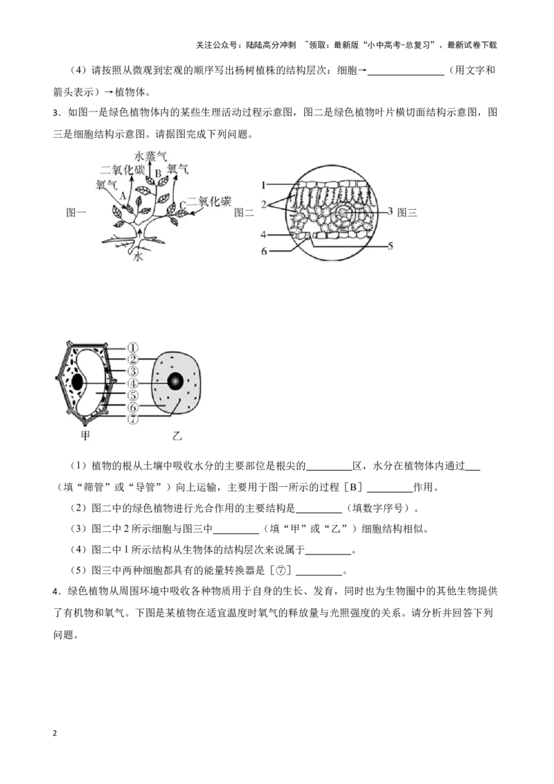 2024年中考生物读图理解专题复习：生物圈中的绿色植物综合训练（含答案）_02中考总复习（2026版更新中）_08-生物-中考总复习_2024年中考复习资料_二轮复习