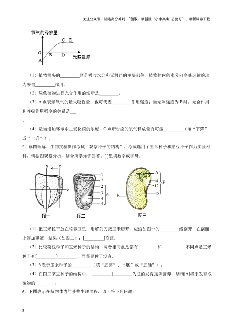 2024年中考生物读图理解专题复习：生物圈中的绿色植物综合训练（含答案）_02中考总复习（2026版更新中）_08-生物-中考总复习_2024年中考复习资料_二轮复习