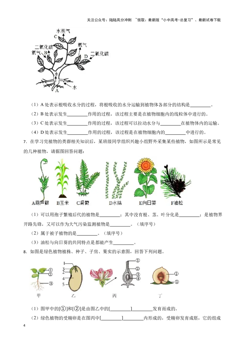 2024年中考生物读图理解专题复习：生物圈中的绿色植物综合训练（含答案）_02中考总复习（2026版更新中）_08-生物-中考总复习_2024年中考复习资料_二轮复习