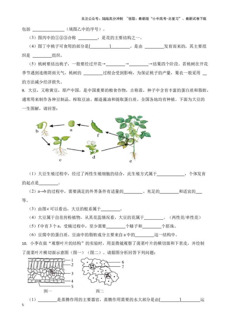 2024年中考生物读图理解专题复习：生物圈中的绿色植物综合训练（含答案）_02中考总复习（2026版更新中）_08-生物-中考总复习_2024年中考复习资料_二轮复习