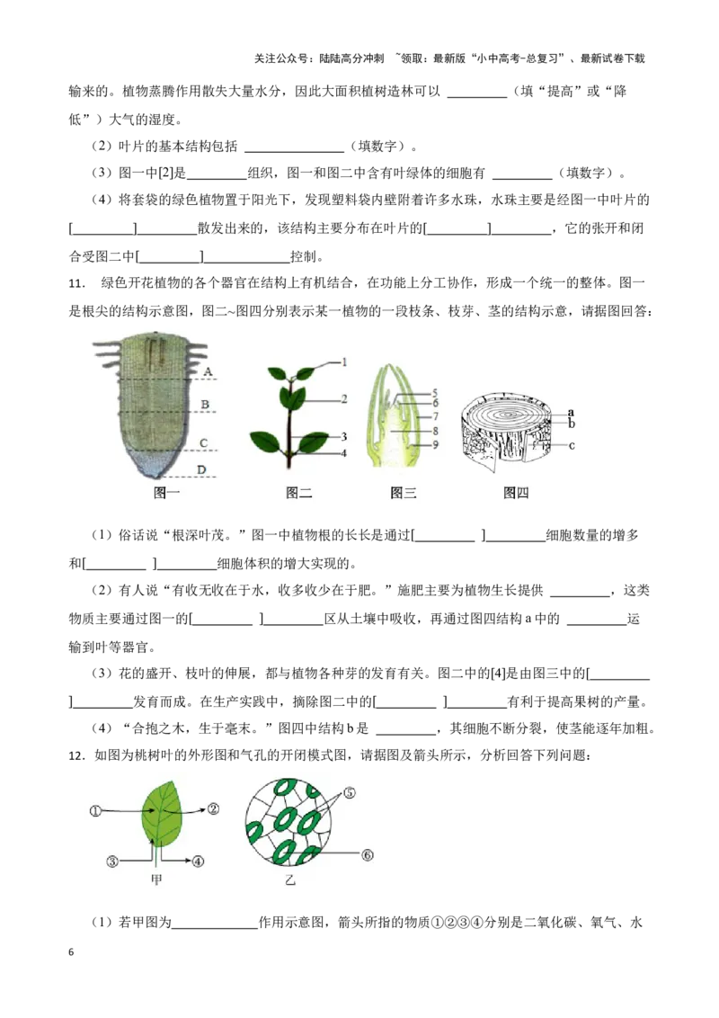 2024年中考生物读图理解专题复习：生物圈中的绿色植物综合训练（含答案）_02中考总复习（2026版更新中）_08-生物-中考总复习_2024年中考复习资料_二轮复习