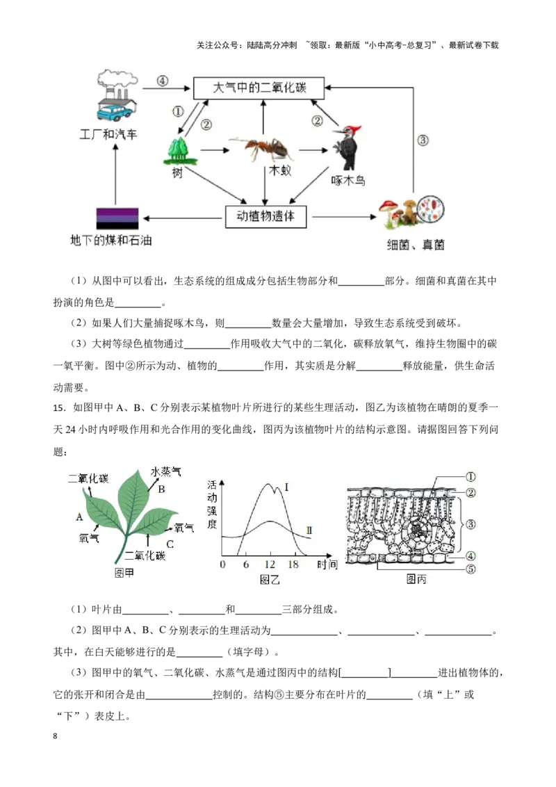 2024年中考生物读图理解专题复习：生物圈中的绿色植物综合训练（含答案）_02中考总复习（2026版更新中）_08-生物-中考总复习_2024年中考复习资料_二轮复习