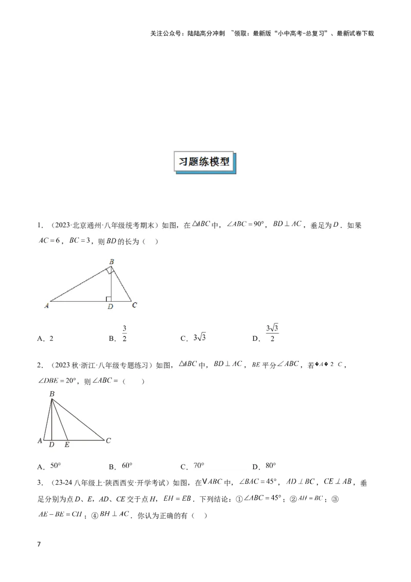 2025年中考数学几何模型综合训练（通用版）专题04三角形中的倒角模型之高分线模型、双（三）垂直模型解读与提分精练（学生版）_02中考总复习（2026版更新中）_02-数学-中考总复习