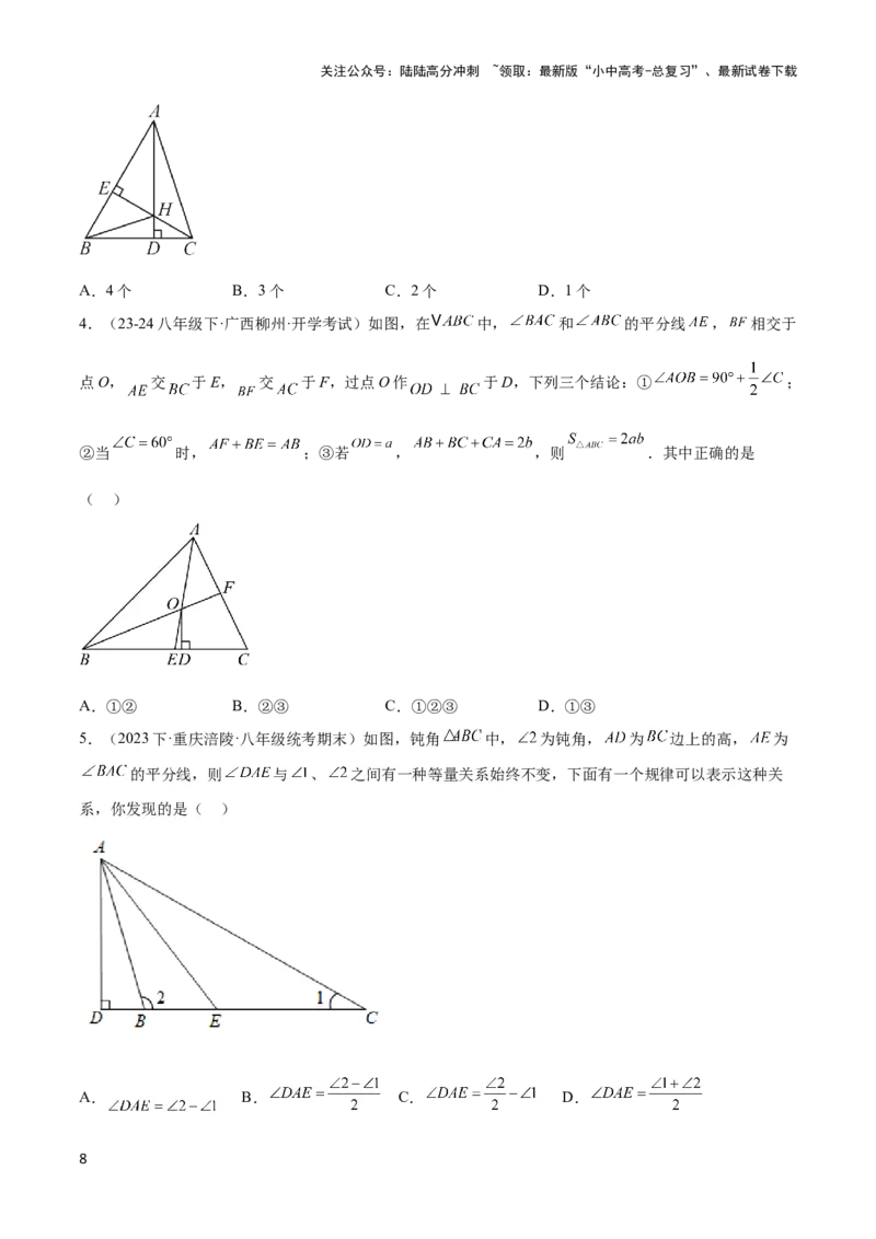 2025年中考数学几何模型综合训练（通用版）专题04三角形中的倒角模型之高分线模型、双（三）垂直模型解读与提分精练（学生版）_02中考总复习（2026版更新中）_02-数学-中考总复习