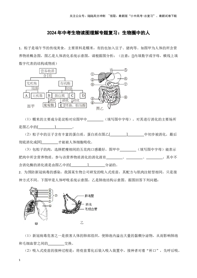 2024年中考生物读图理解专题复习：生物圈中的人（含答案）_02中考总复习（2026版更新中）_08-生物-中考总复习_2024年中考复习资料_二轮复习_备考2024中考生物二轮复习读图理解精练