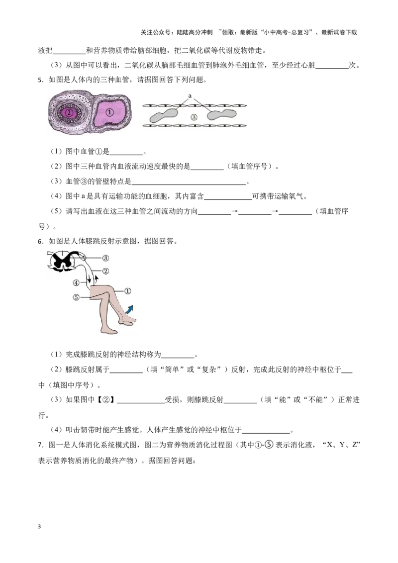 2024年中考生物读图理解专题复习：生物圈中的人（含答案）_02中考总复习（2026版更新中）_08-生物-中考总复习_2024年中考复习资料_二轮复习_备考2024中考生物二轮复习读图理解精练