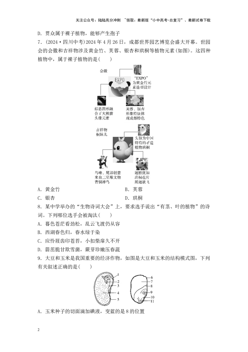 2025中考生物二轮专题训练4：生物圈中有哪些绿色植物（含解析）_02中考总复习（2026版更新中）_08-生物-中考总复习_2025中考复习资料_2025中考生物二轮专题训练（含解析）