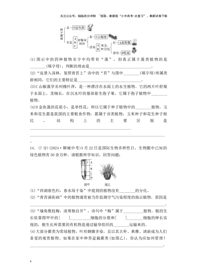 2025中考生物二轮专题训练4：生物圈中有哪些绿色植物（含解析）_02中考总复习（2026版更新中）_08-生物-中考总复习_2025中考复习资料_2025中考生物二轮专题训练（含解析）
