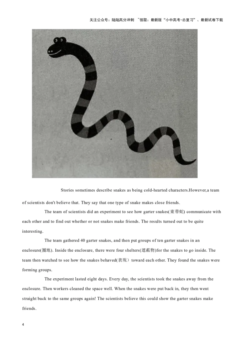 12&ldquo;抗癌厨房&rdquo;，温暖万千家、蛇也会交朋友吗？、世界上最小的婴儿（解析版）_02中考总复习（2026版更新中）_03-英语-中考总复习_2024年中考复习资料_专项复习资料_答案解析版